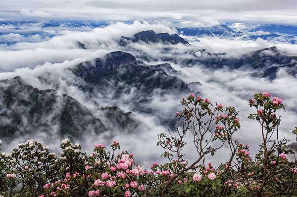 牛背山最佳旅游时间 